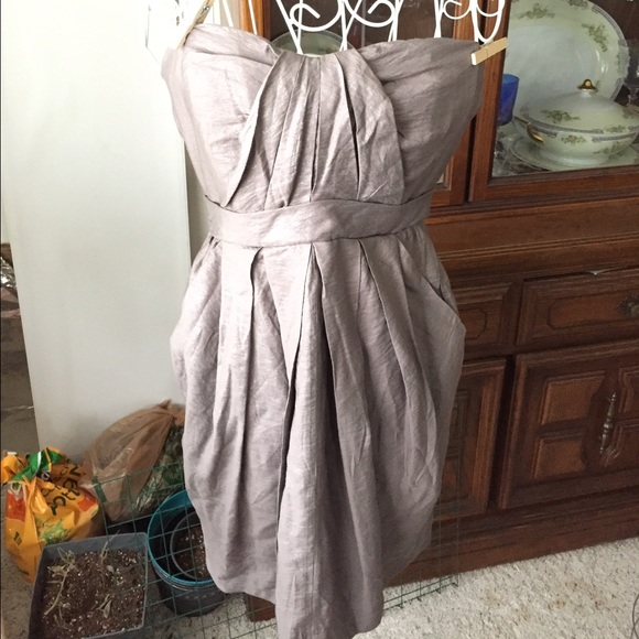 Lush Dresses & Skirts - Shimmery dove grey sparkle dress w/pockets