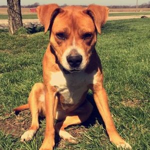 Meet your Posher, Taylor