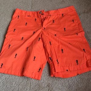 🌴ADORABLE Seahorse Bermudas!