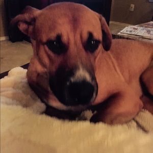 Meet your Posher, Denise