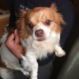 Meet your Posher, Marisol