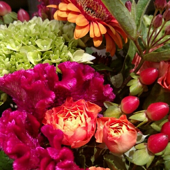 ZOIJOI & The King's Artisans - Picture 2 of 5