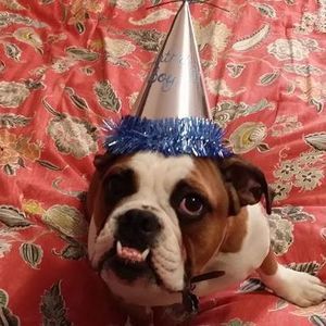 Meet your Posher, Sherri