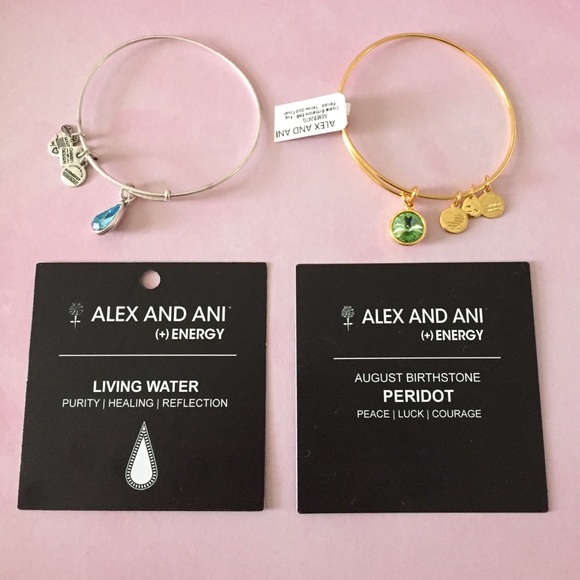 Two Alex and Ani Bracelets
