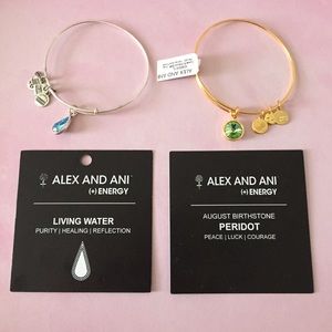 Two Alex and Ani Bracelets