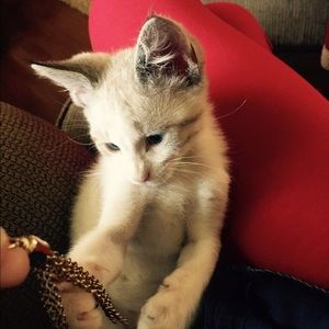 Meet your Posher, Keri