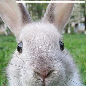 Meet your Posher, Sherry