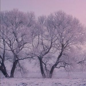 Meet your Posher, Dani