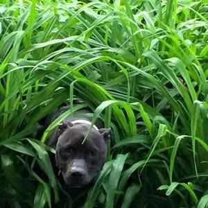 Meet your Posher, Sherry