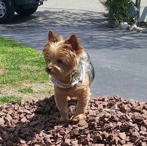 Meet your Posher, Kim