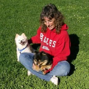 Meet your Posher, Shelley