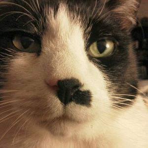 Meet your Posher, Lara