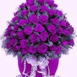 Meet your Posher, Cynthia