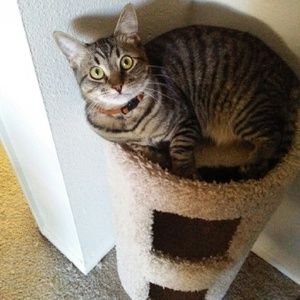 Meet your Posher, Clara