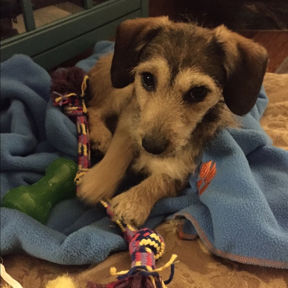 Meet your Posher, Jillian - Picture 3 of 3