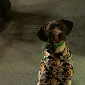 Meet your Posher, Kathy