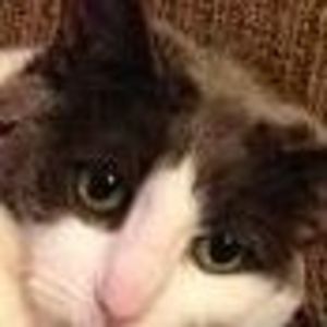 Meet your Posher, Joanne