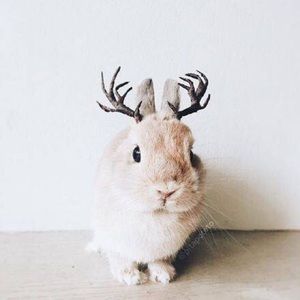 Meet your Posher, Yiting