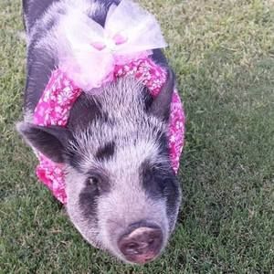 Meet your Posher, Kimberly