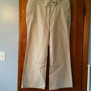 Gorgeous Ann Taylor pants