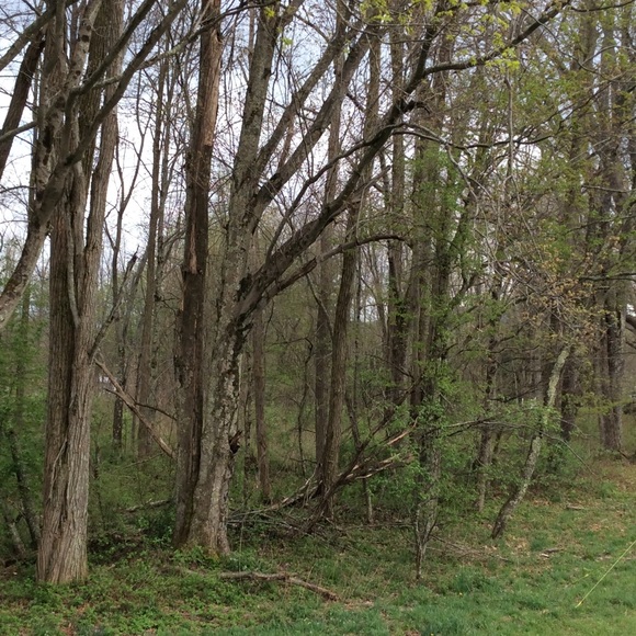 Meet your Posher, Devonny - Picture 1 of 1