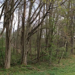 Meet your Posher, Devonny