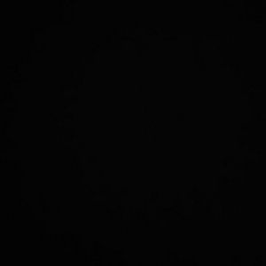 Meet your Posher, Dennis