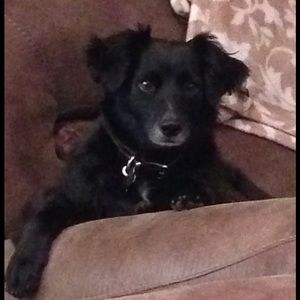 Meet your Posher, Lonnie