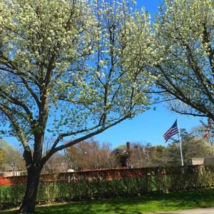 Meet your Posher, Dalvis