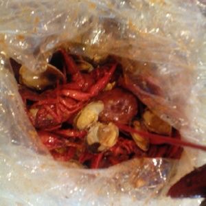 Meet your Posher, Luna