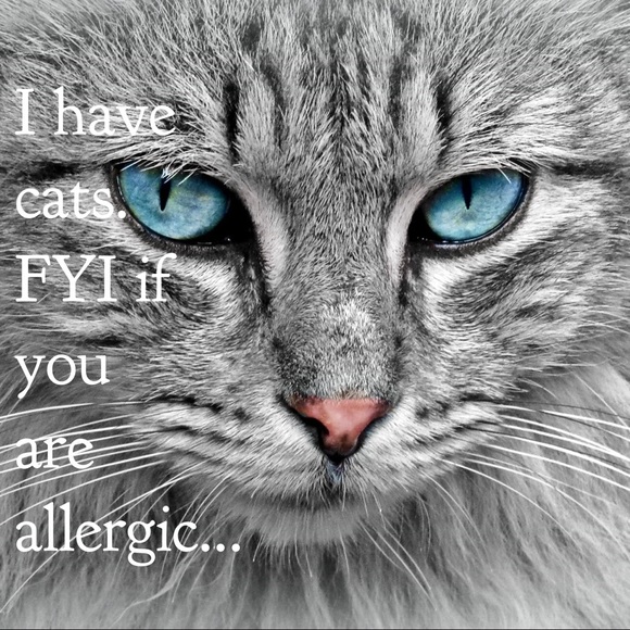 Other - A cat friendly home....