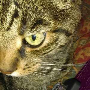 Meet your Posher, Dana