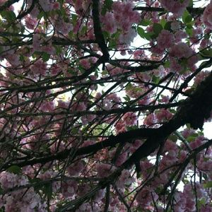 Meet your Posher, Liliana