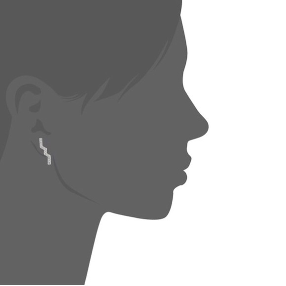 ⚬Rebecca Minkoff⚬Geo Crystal Zig Zag Earrings - Picture 3 of 3