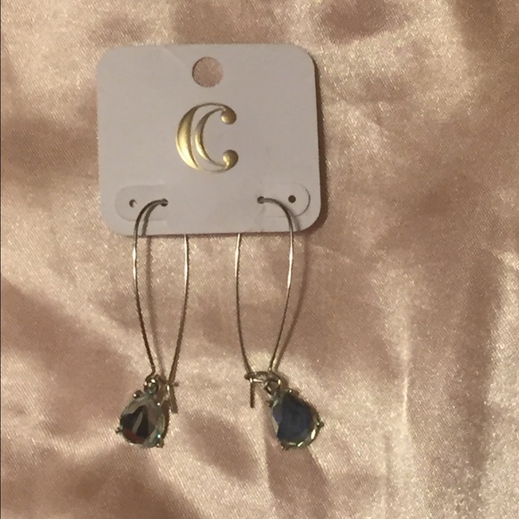 charming Charlie's earrings - Picture 1 of 1
