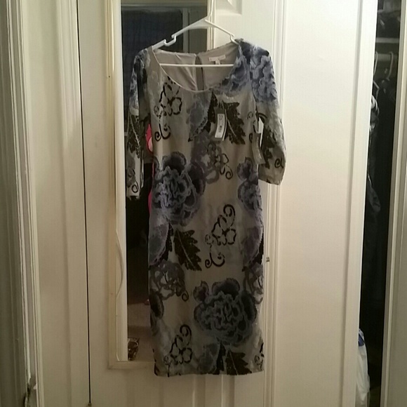 New York & company dress