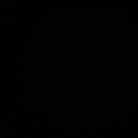 Meet your Posher, Ruth - Picture 1 of 1