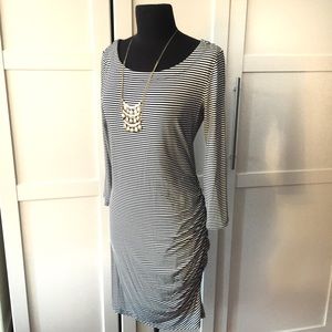 Banana Republic Navy/White Striped Dress