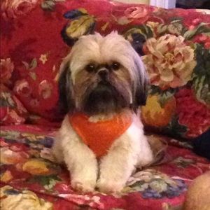 Meet your Posher, Connie