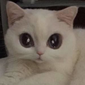 Meet your Posher, Janell