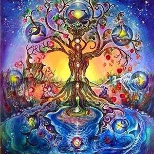 Meet your Posher, Tammie