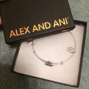 Brand New Alex and Ani Anchor Slide Bracelet
