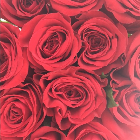 Meet your Posher, Roxanne - Picture 1 of 1