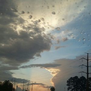 Meet your Posher, Melonie