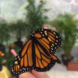 Meet your Posher, Mia