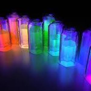 Meet your Posher, Bella