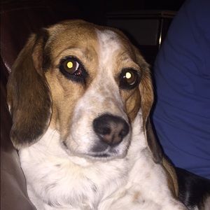 Meet your Posher, Jamie