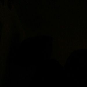 Meet your Posher, Rose