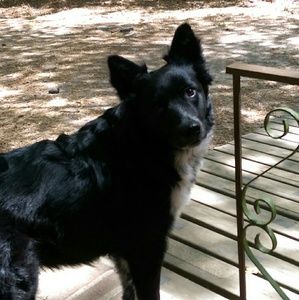 Meet your Posher, Cara