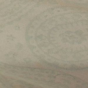 Meet your Posher, Amelia